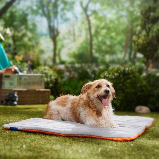 frisco-travel-pillow-dog-mat-bed-with-reusable-storage-bag-orange-tiger-large-1