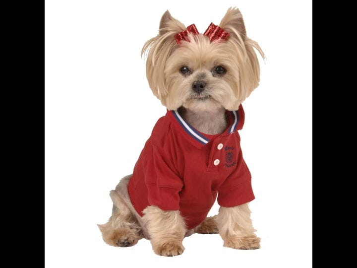 maxs-closet-designer-xl-dog-polo-petsmart-1