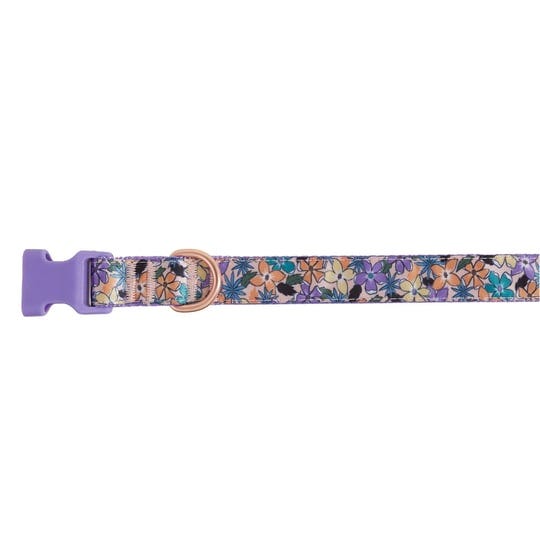 top-paw-floral-extra-small-purple-dog-collar-petsmart-1