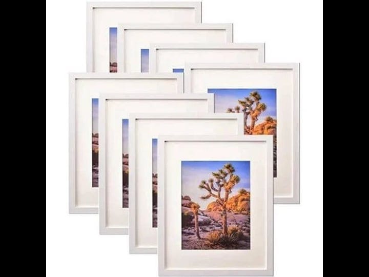 a-plus-max-16x20-picture-framedisplay-pictures-11x14-with-mat-or-16x20-without-mat-wall-gallery-fram-1