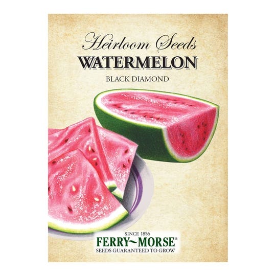 watermelon-black-diamond-heirloom-1