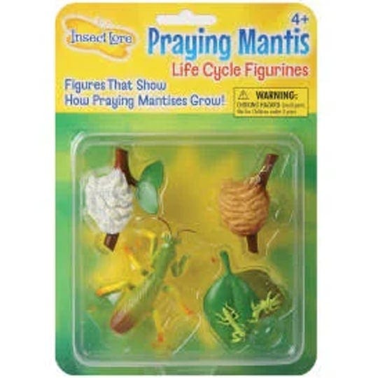 praying-mantis-life-cycle-stage-figures-1