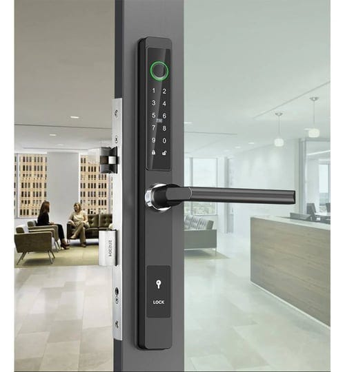 fingerprint-keyless-keypad-passcode-app-control-waterproof-electronic-smart-lock-for-front-door-pati-1