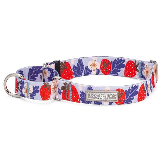 lucky-love-dog-martingale-collar-premium-fun-girl-no-slip-collars-strawberry-martingale-medium-dog-c-1