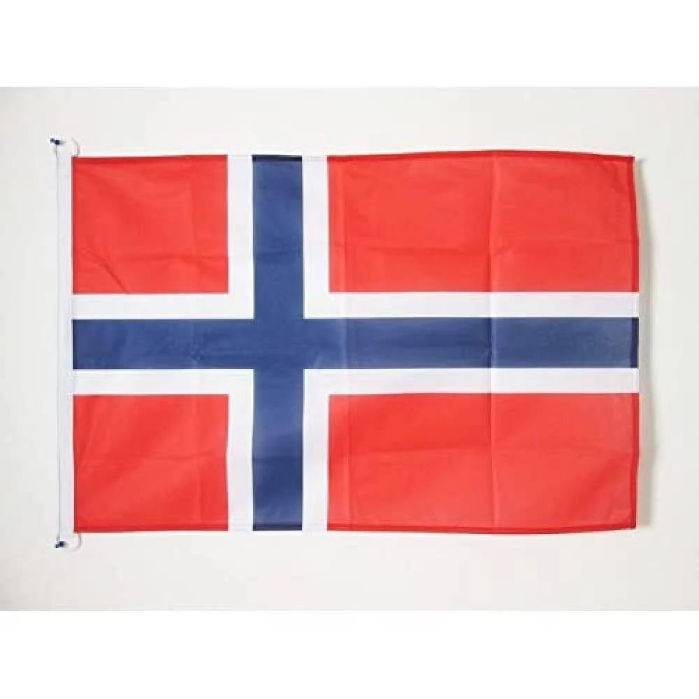 AZ Flag - Stylish Norwegian Flags for Outdoor Display | Image