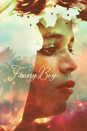 funny-boy-4319529-1