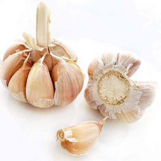 fresh-garlic-cloves-imperfect-bulbs-2-lb-1