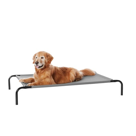 amazonbasics-cooling-elevated-pet-bed-large-grey-1