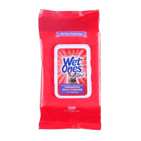 wet-ones-wipes-fresh-scent-100-wipes-1