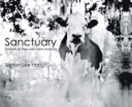 sanctuary-394782-1