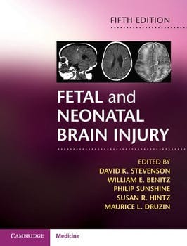 fetal-and-neonatal-brain-injury-3240161-1