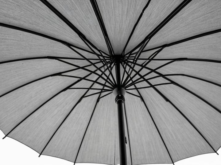 Offset-Umbrella-2