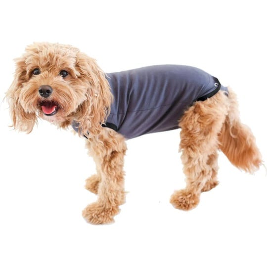 bellyguard-after-surgery-recovery-onesie-post-spay-neuter-body-suit-for-male-and-female-dogs-comfort-1