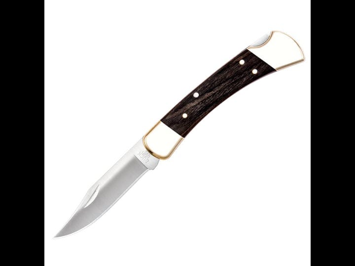 buck-folding-hunter-knife-1