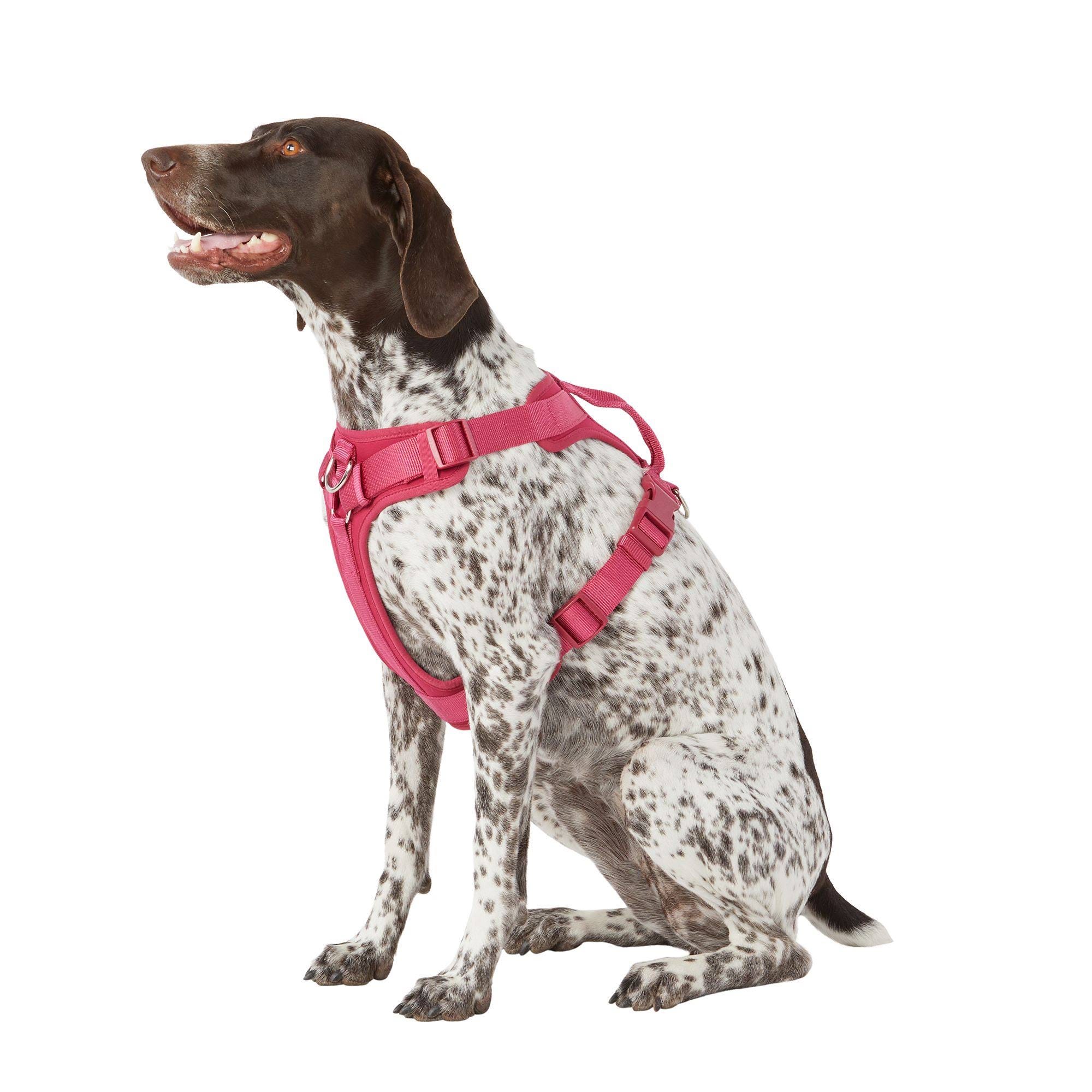 Raspberry Ribbon Core Fashion Adjustable Small Dog Harness | Image