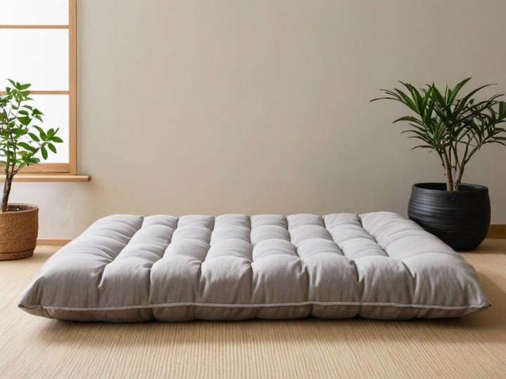 Small-Futon-3