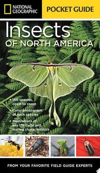 national-geographic-pocket-guide-to-insects-of-north-america-43755-1