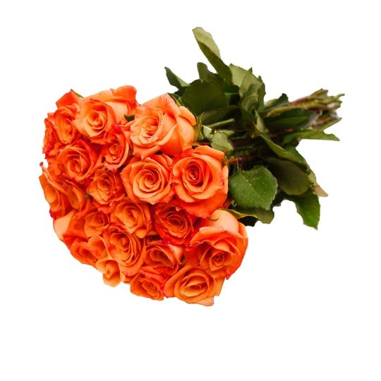bloomingmore-flowers-24-farm-fresh-orange-roses-gift-1