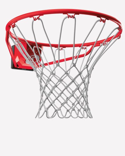 spalding-pro-slam-basketball-rim-1