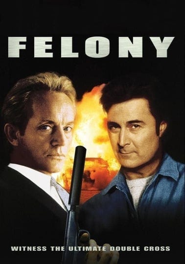 felony-974912-1