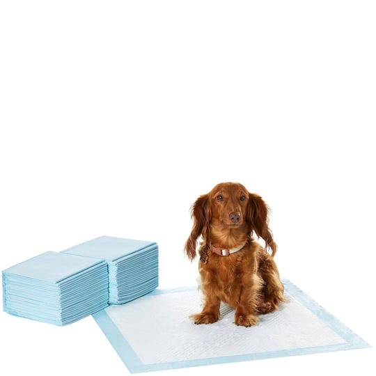 amazonbasics-pet-training-and-puppy-pads-50-count-regular-1
