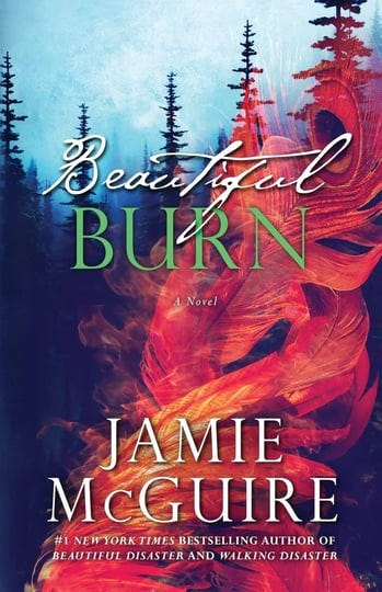 beautiful-burn-book-1