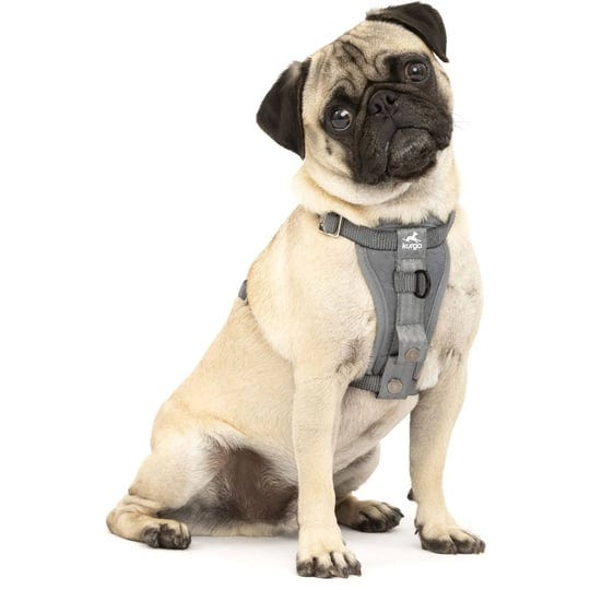 kurgo-tru-fit-enhanced-strength-dog-harness-crash-tested-car-safety-harness-for-dogs-no-pull-dog-har-1