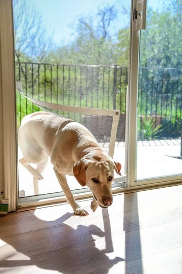 screen-pet-door-conversion-kit-doggie-door-for-screen-door-patio-screen-sliding-glass-door-screen-po-1