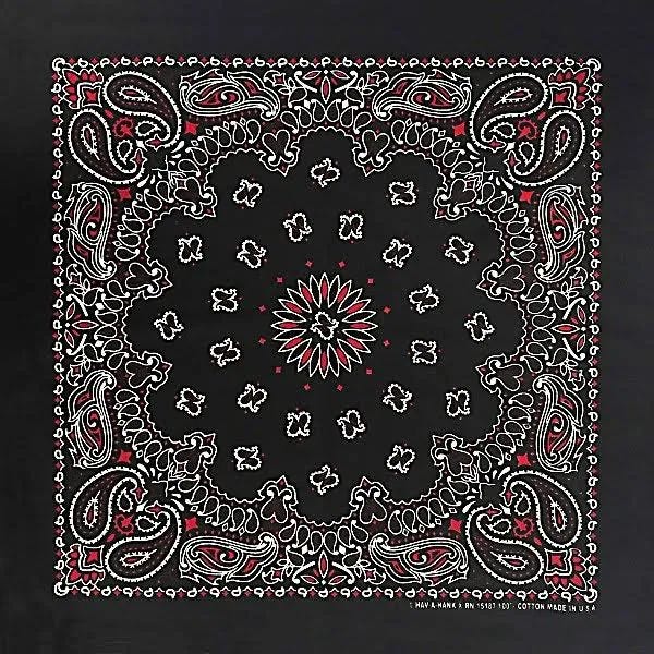 Hav-A-Hank Paisley Bandana by Carolina Creative Products | Image