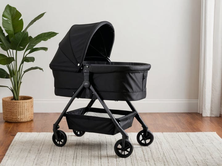 Travel-Bassinet-5