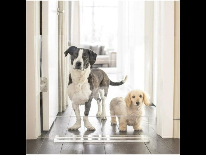 hiddin-clear-view-panel-freestanding-dog-gate-36-in-1