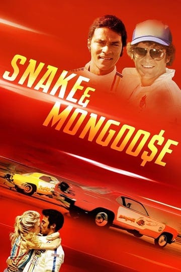 snake-mongoose-933694-1