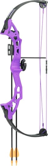 bear-archery-brave-youth-bow-purple-1