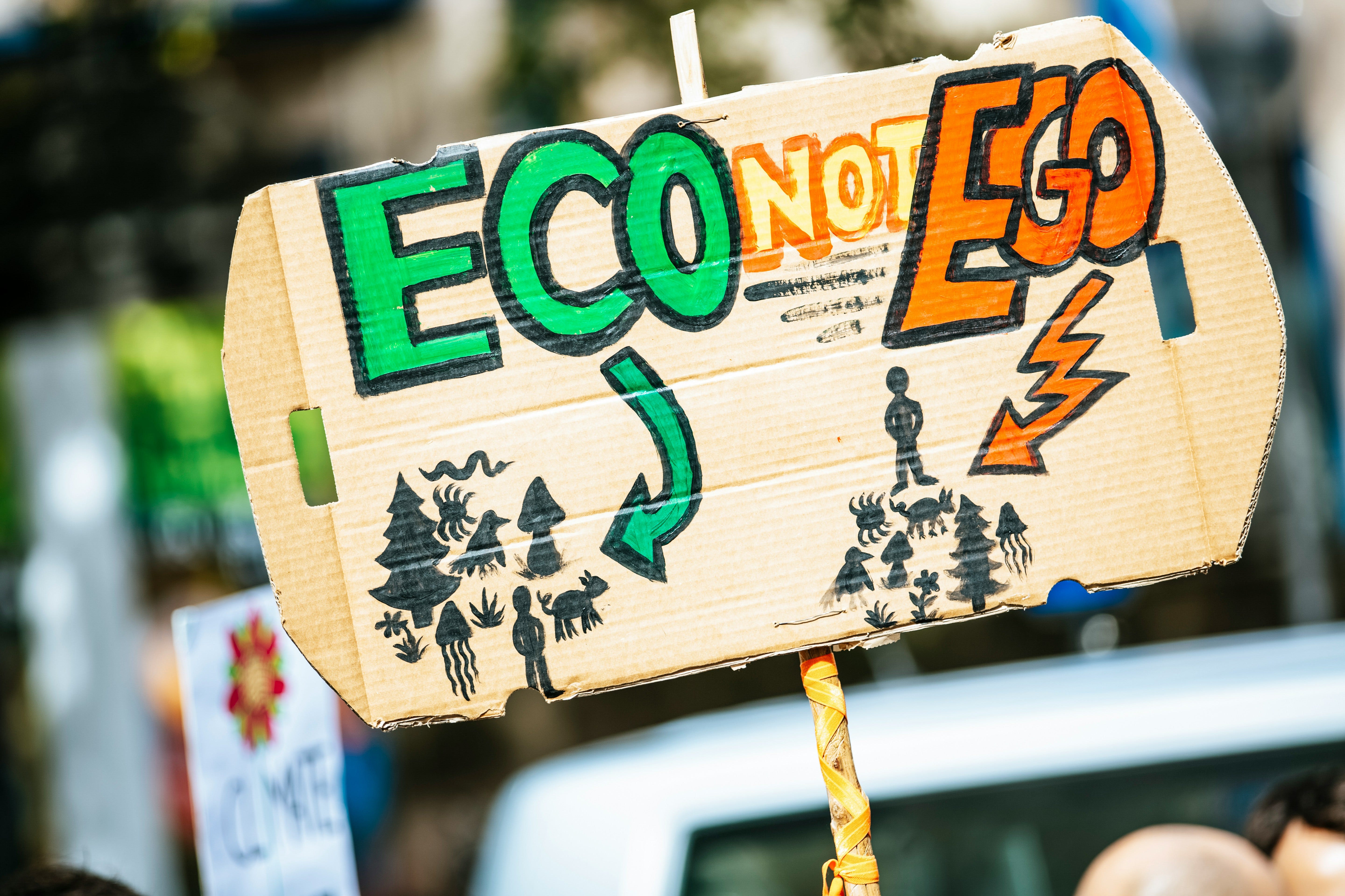 person holding Eco Not Ego signage