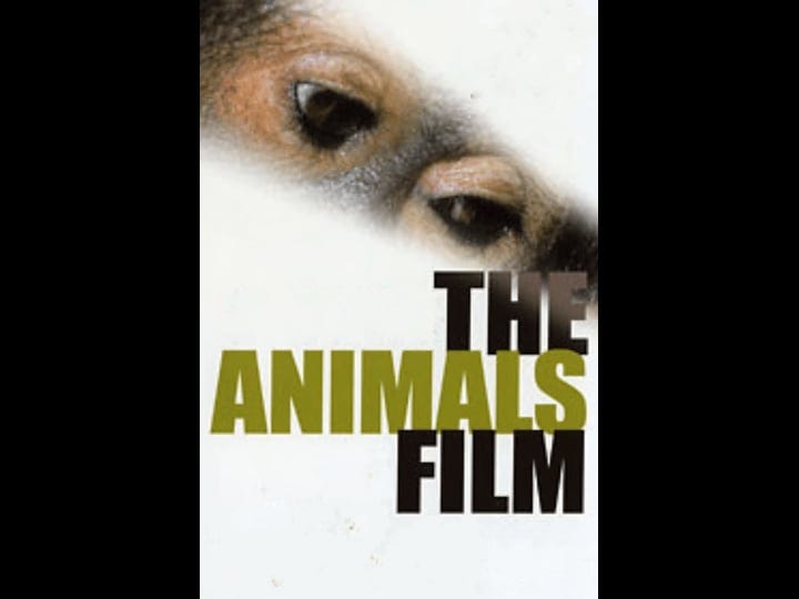 the-animals-film-1528993-1