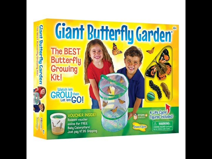 giant-butterfly-garden-insect-lore-1