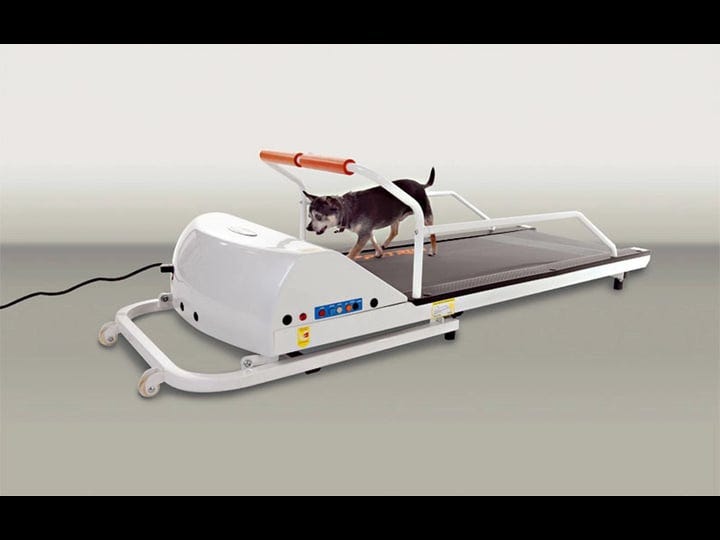 petrun-pr710-dog-treadmill-1