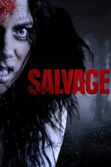 salvage-4366514-1