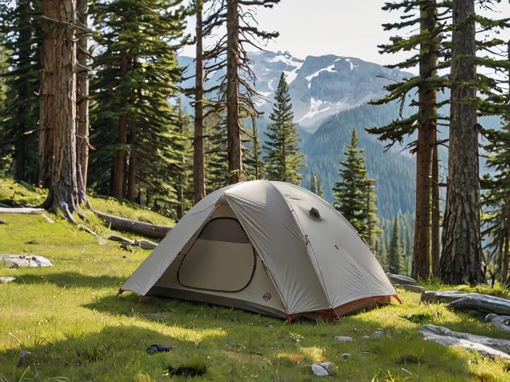 Big-Agnes-Scout-2-Carbon-4