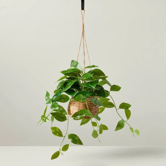 9-faux-hoya-hanging-plant-hearth-hand-with-magnolia-1