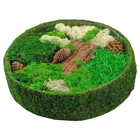 esterno-fairy-garden-display-diy-dried-moss-enchanted-landscape-terrarium-starter-kit-round-1