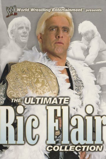 the-ultimate-ric-flair-collection-475468-1