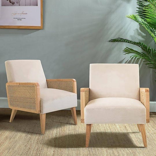 jayden-creation-delphine-beige-cane-accent-chair-set-of-2-1