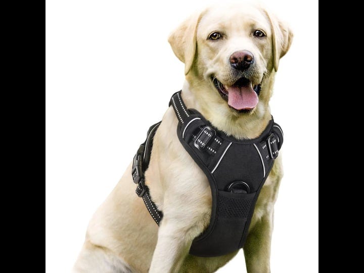 rabbitgoo-dog-harness-no-pull-pet-harness-adjustable-outdoor-pet-vest-1