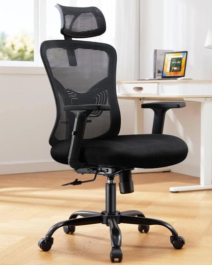 huanuo-ergonomic-office-chair-home-office-desk-chair-with-adjustable-lumbar-support-headrest-armrest-1