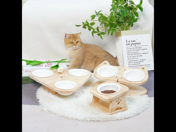 petomg-cat-bowls-elevated-cat-bowl-ceramic-cat-bowls-raised-cat-food-bowls-rubberwood-single-1