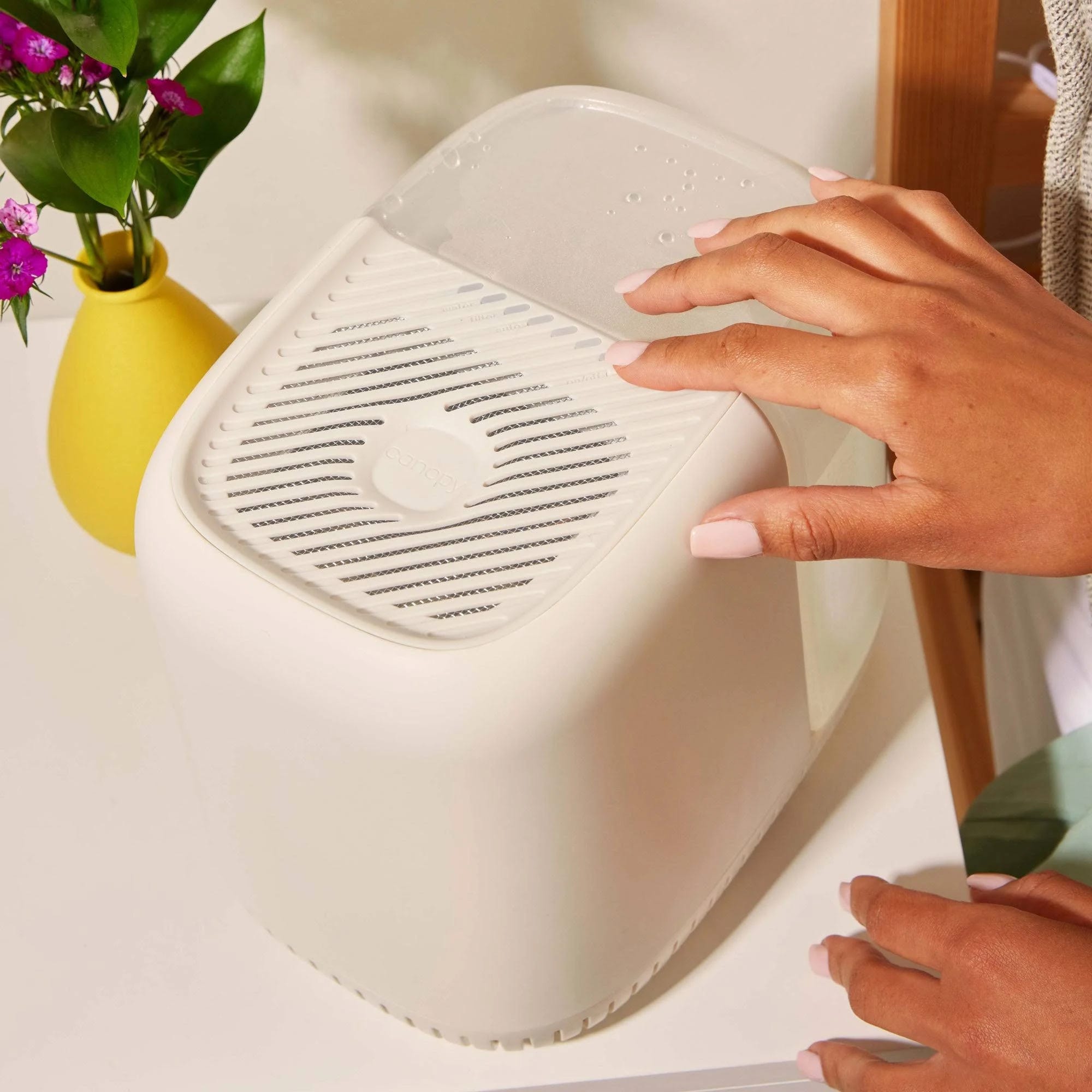 Canopy Humidifier: Sleek & Compact for Hydrated Skin | Image