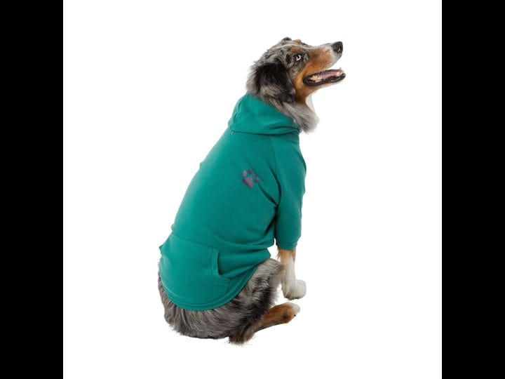 top-paw-print-dog-hoodie-in-green-size-medium-polyester-petsmart-1