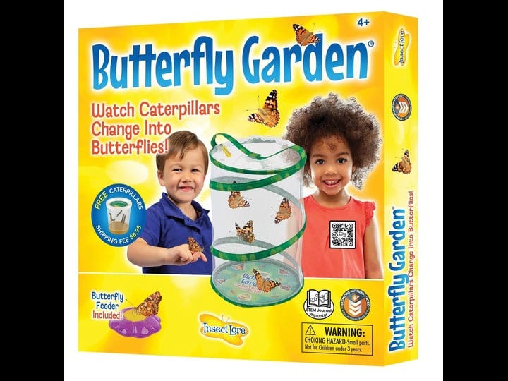 insect-lore-butterfly-growing-kit-with-voucher-to-redeem-caterpillars-later-1