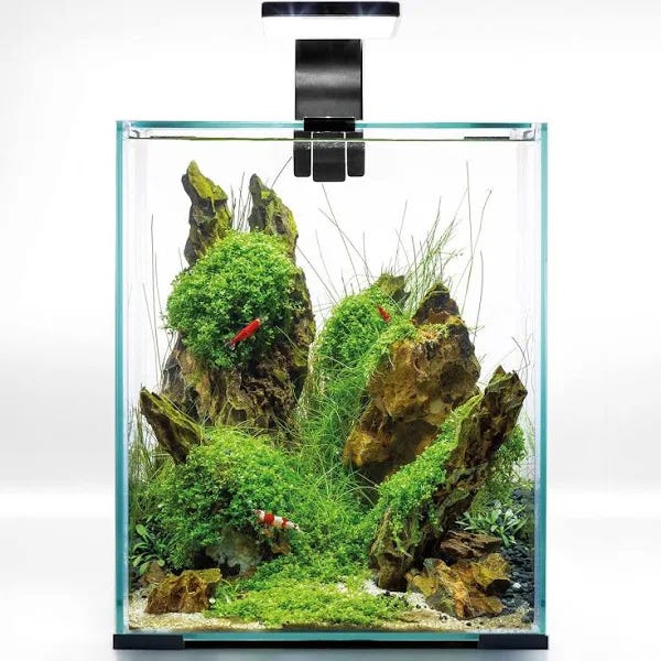 Aquael Nano Aquarium: Starter Kit for Pet Shrimp | Image